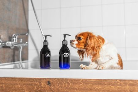 Naturalny Szampon Wzmacniający Dla Psów Do Każdego Typu Sierści Oczyszcza - zdjęcie 4