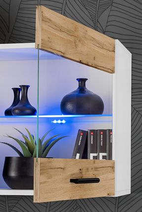 Pan Igiełka T25 - White/Wotan + Blue Leds - zdjęcie 3