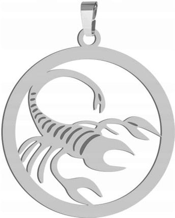 Radziszewska Zawieszka Srebrna Znak Zodiaku SKORPION Srebro 925 Prezent DEDYKACJA - zdjęcie 4