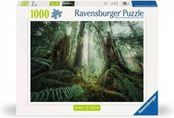 Zdjęcie Puzzle 1000 Lasy - Przemyśl