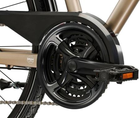 Kross Trans 3.0 Damski Brązowy / Srebrny Mat 28 2025 - zdjęcie 3