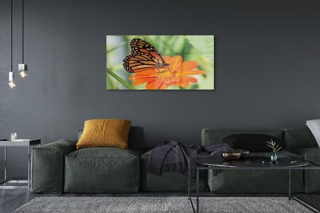 Tulup.Pl Obraz akrylowy Kwiat kolorowy motyl 125x50 cm 2 zawieszki (OAH212276677) - zdjęcie 2