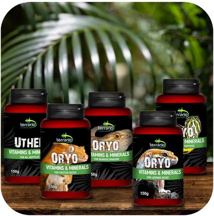 Terrario ORYO for Crested Gecko 150g witaminy dla gekona orzęsionego - zdjęcie 3