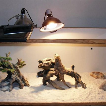 EXO TERRA Intense Basking Spot 75W (żarówka grzewcza) - zdjęcie 2