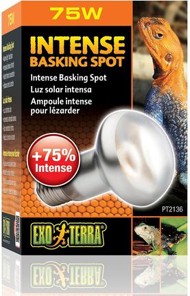 EXO TERRA Intense Basking Spot 75W (żarówka grzewcza) - zdjęcie 3