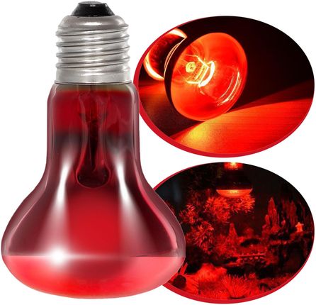 Repti-Zoo Infrared Basking Spot 50W żarówka grzewcza podczerwona - zdjęcie 2