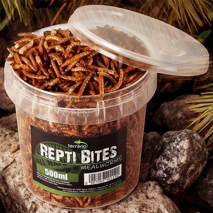Terrario Repti Bites Mealworms 500ml larwy mącznika suszone - zdjęcie 2