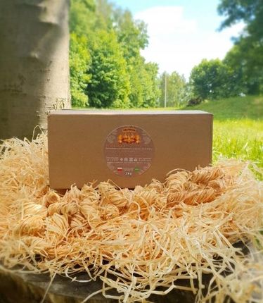 Apex Ekofire Podpałka Rozpałka Ekologiczna Do Kominka Pieca Grila Eco Super Wydajna 2Kg - zdjęcie 3