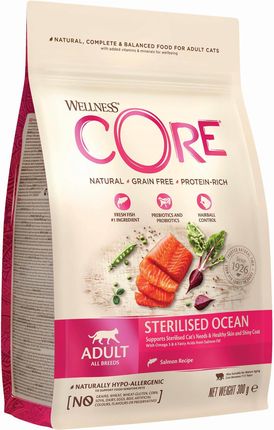 Wellness Core Sterilised Ocean Karma Sucha Dla Dorosłych Kotów Po Sterylizacji Łosoś 300G - zdjęcie 3