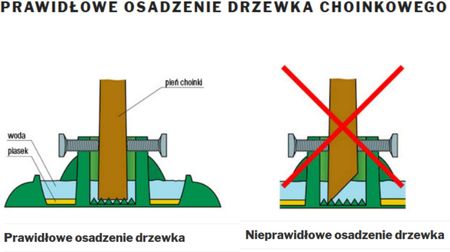 Dikel Stojak Choinkowy Xs Duży Do 3M Z Odżywką Do Choinek Ciętych Agrecol - zdjęcie 5