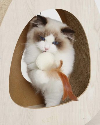 Catit Pixi Scratcher Wide Szeroki Drapak Dla Kota - zdjęcie 2