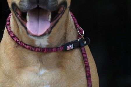 Kiwi Walker Rope Lead 2In1 Smycz Różowa - zdjęcie 4