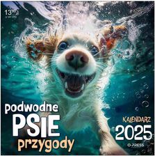 Zdjęcie Kalendarz 2025, podwodne psie przygody, ścienny - Turek