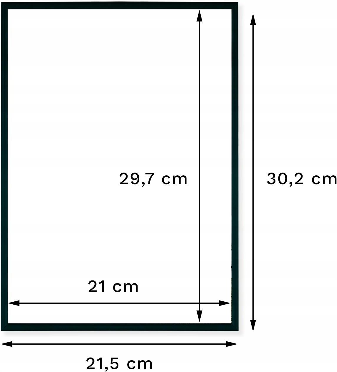 Ramka tradycyjna Raw West Ramka Aluminiowa Na Zdjęcia 21X29 7 A4