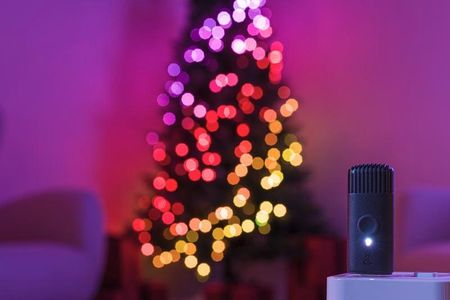 Choinka z oświetleniem Twinkly Pre-lit Tree 1,80m Regal Tree, 435 RGB LED, IP20 - zdjęcie 2