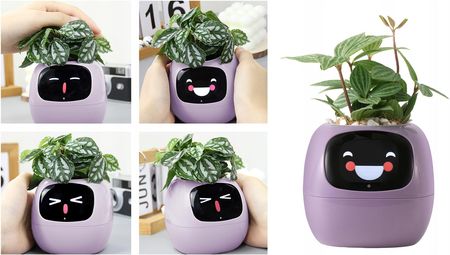 Inteligentna Doniczka Ivy Smart Planter Osłonka Na Donicę Plantsio Fiolet - zdjęcie 2