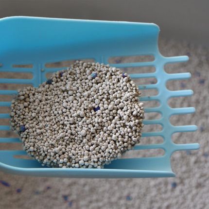 Hilton Cat Litter White Soap 5L Żwirek Biały Bentonitowy O Zapachu Mydła - zdjęcie 3