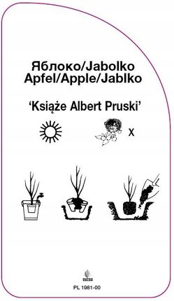Becker Etykieta Szkółkarska Jabłoń 'Książe Albert Pruski' - zdjęcie 2