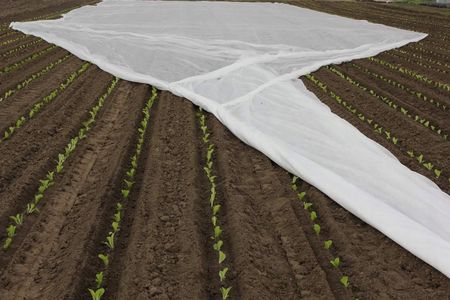 Agro-Cover Agrowłóknina Biała Zimowa 320cm X 10 Metrów Otulina Na Przymrozki - zdjęcie 5