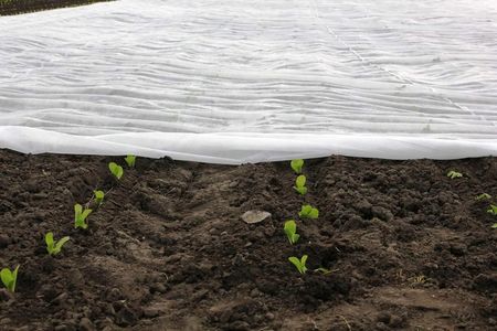 Agro-Cover Agrowłóknina Biała Zimowa 320cm X 10 Metrów Otulina Na Przymrozki - zdjęcie 3