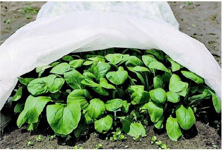 Agro-Cover Agrowłóknina Biała Zimowa 320cm X 10 Metrów Otulina Na Przymrozki - zdjęcie 2