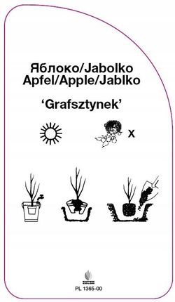 Becker Etykieta Szkółkarska Jabłoń 'Grafsztynek' - zdjęcie 2