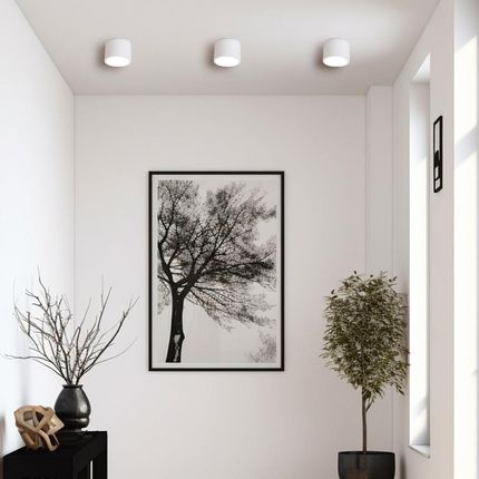 Light Prestige Kendal Oprawa Natynkowa 1 X Gx53 Biała Lp-6331/1Sm Ip65 Wh (83672) - zdjęcie 3
