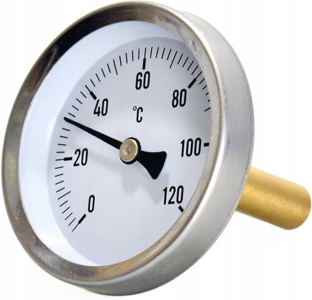 Termoplus Termometr Do Wędzarni Grila +120C Bbq Wyjmowany T+ - zdjęcie 3