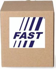 Zdjęcie Fast Uszczelka Kolektora Ft49484 - Skalbmierz