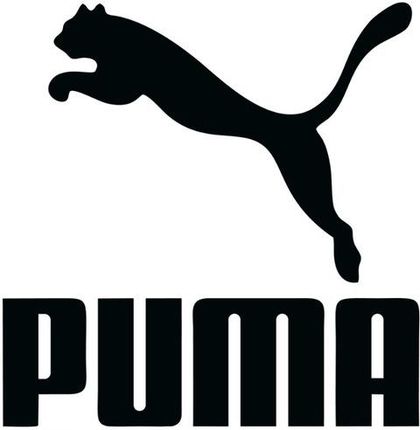 Skarpety męskie bawełniane kolorowe Puma Quarter zakostki 12 par 43-46 - zdjęcie 3