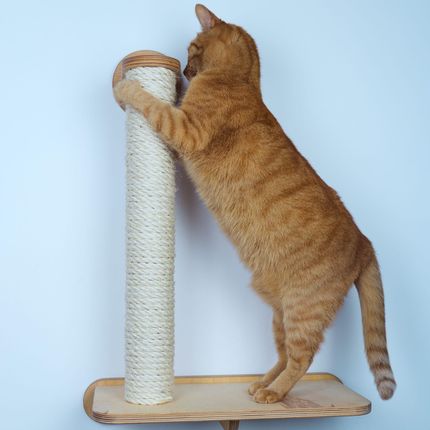 Drapak ścienny 50 cm z półką - Wall 2.0 - zdjęcie 2