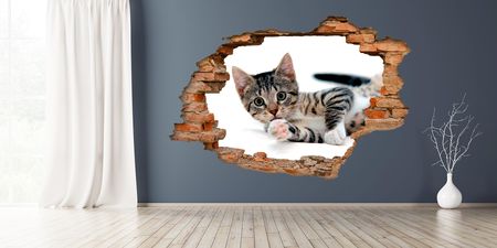 Centrumnaklejek 2M Studio Dziura W Ścianie 3D Nr 134 Bury Kot Dziura W Ścianie Z Cegieł Naklejka 3D - zdjęcie 3