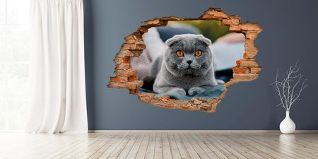 Centrumnaklejek 2M Studio Dziura W Ścianie 3D Nr 135 Kot Brytyjczyk Dziura W Ścianie Z Cegieł Naklejka 3D - zdjęcie 2
