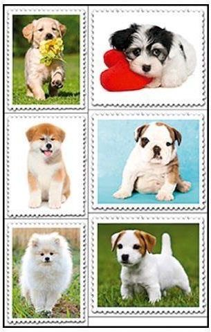 Zdjęcie Susy Card Naklejki Ozdobne Znaczki Pieski - Rypin