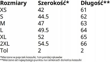 Koszulka Polo Premium Fruit of the Loom Błękit XXL - zdjęcie 3