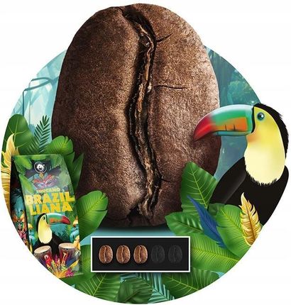 Kawa zianrista 1kg x2 BossaNova+Toucano 100% Arabica do ekspresu 1kg x2 - zdjęcie 6