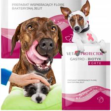 Zdjęcie Jm Sante Polisept Vet Protector Gastro Biotyk Forte 3G Wsparcie Flory Bakteryjnej Jelit Psa I Kota - Czarna Białostocka