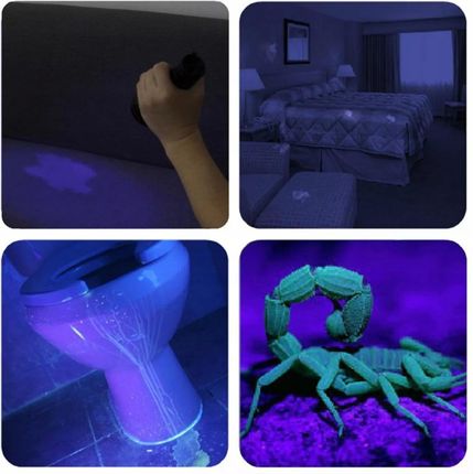 Mocna Latarka Uv Do Szukania Bursztynu 9 Led 395Nm Ultrafiolet +Baterie Aaa - zdjęcie 3