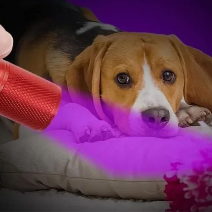Mocna Latarka Uv Do Szukania Bursztynu 9 Led 395Nm Ultrafiolet +Baterie Aaa - zdjęcie 4
