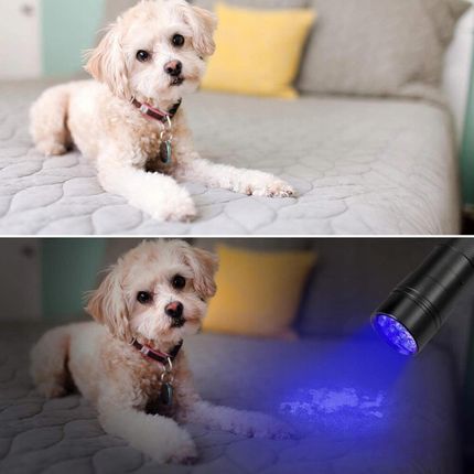 Mocna Latarka Uv Do Szukania Bursztynu 9 Led 395Nm Ultrafiolet +Baterie Aaa - zdjęcie 6