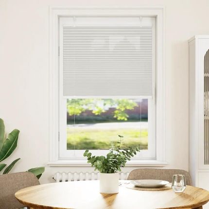 vidaXL Roleta Plisowana Jasnoszara 75X100Cm Szerokość Tkaniny 74,4Cm (4015325) - zdjęcie 3