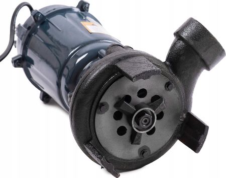 Pompa ogrodowa Champion 3000W - zdjęcie 5