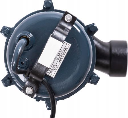 Pompa ogrodowa Champion 3000W - zdjęcie 4