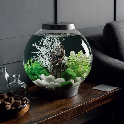 Biorb Classic 15 Led Biały zestaw akwarium 15l 1778484109 - zdjęcie 6