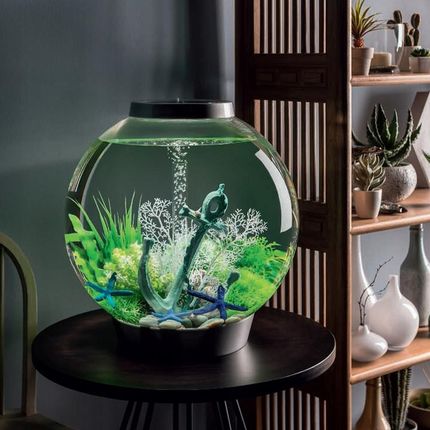 Biorb Classic 15 Led Biały zestaw akwarium 15l 1778484109 - zdjęcie 3