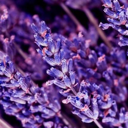 Yodeyma Oud Gem Woda Perfumowana 50ml - zdjęcie 2
