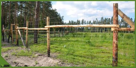 Z.P.H. Jan Siatka Leśna Ogrodzeniowa Wys 150/15/30 L 50m Na Kury Zające Sarny - zdjęcie 4