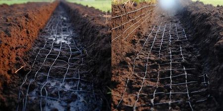 Heckermann Siatka Na Krety 2X100m 40g /M2 Pod Trawnik Przeciw Kretom Nornice 100X Kołki - zdjęcie 4