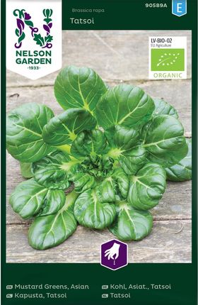 Nelson Garden Bio Kapusta Tatsoi Ciemnozielona Nasiona - zdjęcie 2