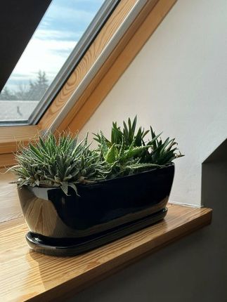 Polnix Czarna Podłużna Doniczka Ceramiczna Z Podstawką 28cm >>> Kaktusiarka 05.367 - zdjęcie 2
